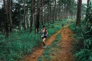 BIB: 
                            <button type="button" onclick="openModal(25657399)" class="btn btn-primary btn-sm float-right btn-popup" data-toggle="modal" data-target=".modal-high-quality">
                        <i class="fas fa-shopping-cart"></i> Add to Cart
                    </button>
                                            <button type="button" onclick="isThisMe(25657399, true)" class="btn btn-success btn-sm float-right btn-popup btn-isme hidden" data-toggle="tooltip" data-placement="bottom" title="นี่คือรูปของคุณใช่ไหม คลิกที่นี่เพื่อเอาเข้าอัลบั้ม">
                        <i class="fas fa-plus"></i> Add to album
                    </button>
                    <button type="button" onclick="isThisMe(25657399, false)" class="btn btn-warning btn-sm float-right btn-popup btn-isnotme hidden">
                        <i class="fas fa-ban"></i> Remove from album
                    </button>